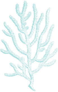 Drawn coral