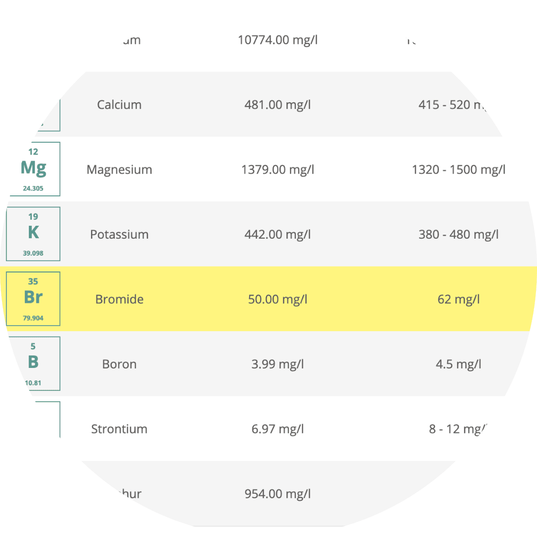 Triton lab result page with an example showing marked problems.