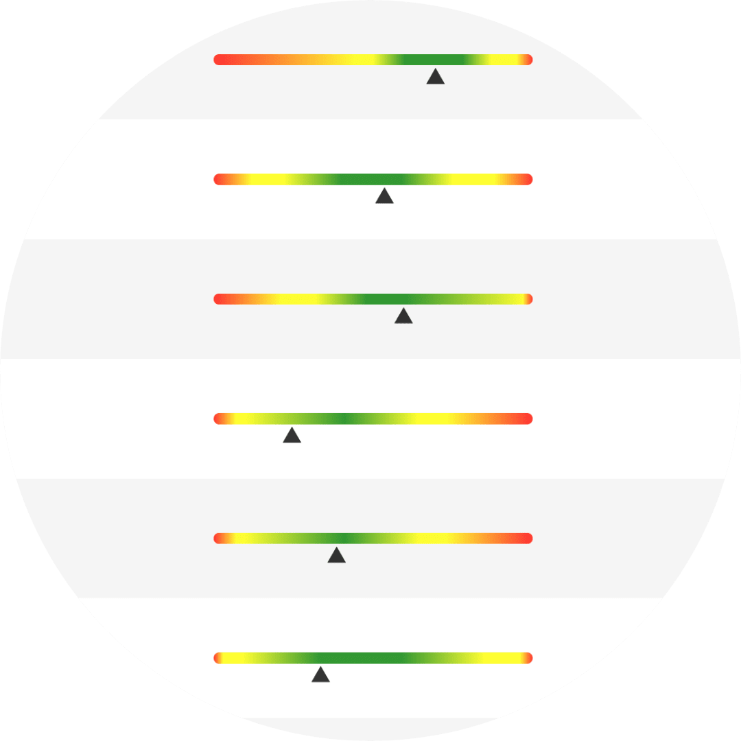 Triton lab result page with an example of some bargraphs to see problems right away.