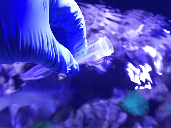 Taking salt water tank samples with TRITON ICP-OES test kit vials